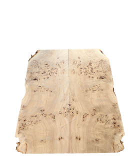 Mappa (Poplar) burl top for electric guitar or bass.
