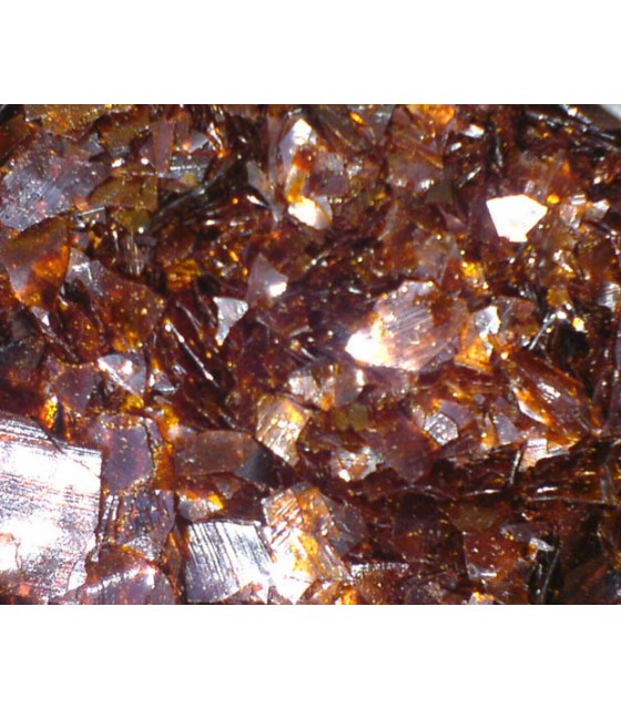 Schellack Orange Gold